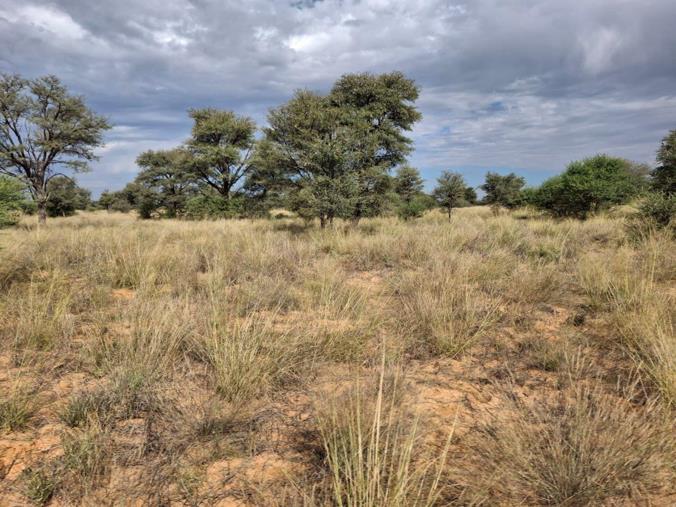 Farm for Sale in Hotazel Rural