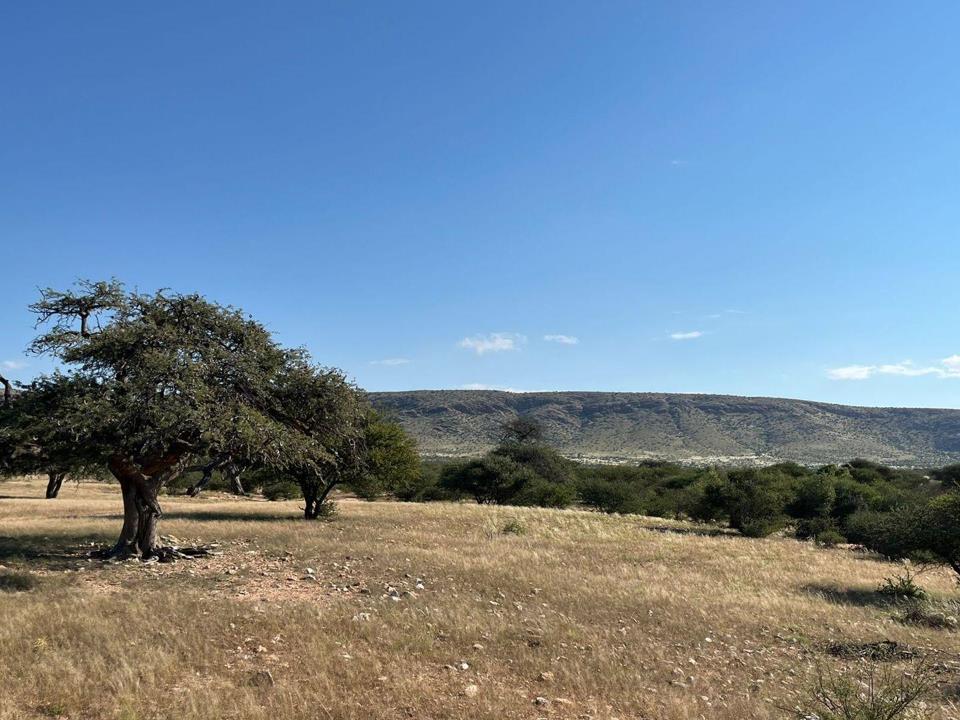 Farm for sale in Upington Rural - P24-116678944