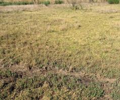Vacant Land / Plot for sale in Riversdale