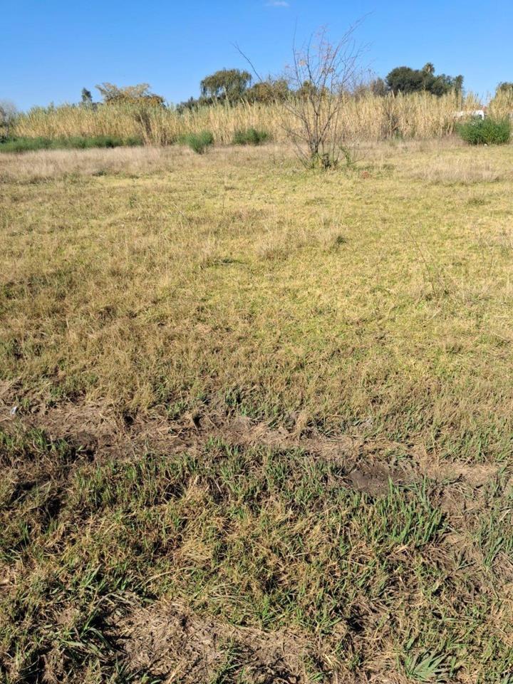 Listing number: P24-117371396, Image number: 1