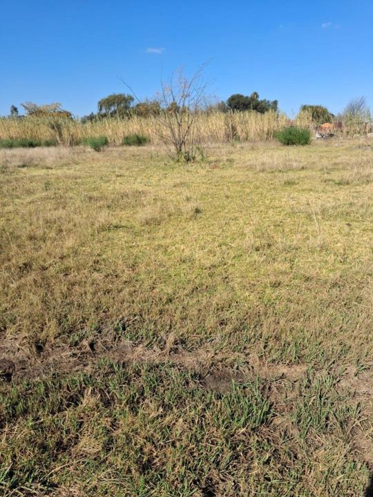 Listing number: P24-117371396, Image number: 2
