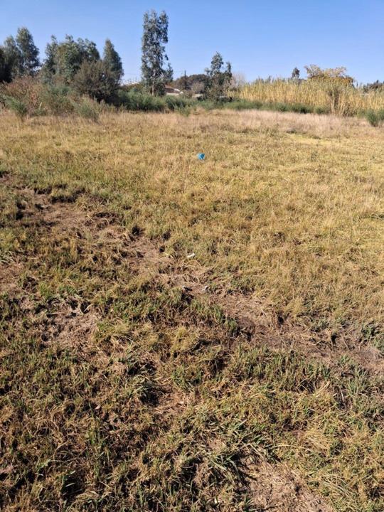 Listing number: P24-117371396, Image number: 3