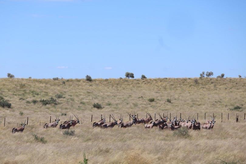 Farm for sale in Upington Rural - P24-117263348