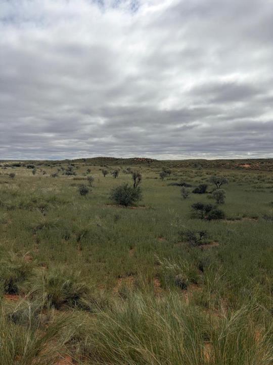 Farm for sale in Upington Rural - P24-117274351