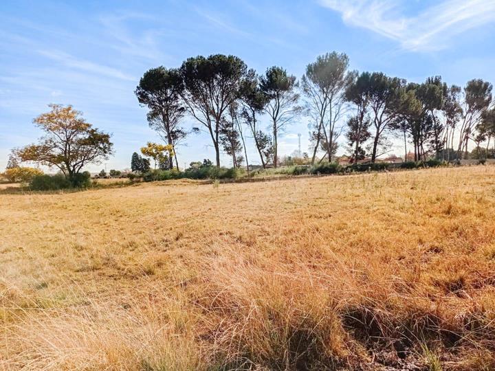 Farm for sale in Louisrus - Acacia Road - P24-117278760