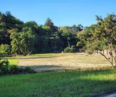 Vacant Land / Plot for sale in Verulam Central