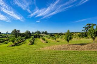 Thumbnail 17