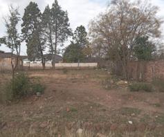Vacant Land / Plot for sale in Steynsburg