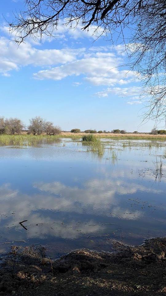 Farm for sale in Roedtan - P24-117344817