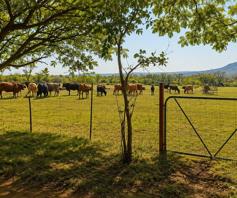 Farm for sale in Oog Van Boekenhoutskloof Alias Tweefonte