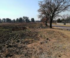 Vacant Land / Plot for sale in Hendrina