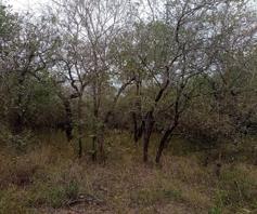Vacant Land / Plot for sale in Marloth Park