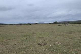 Thumbnail 73