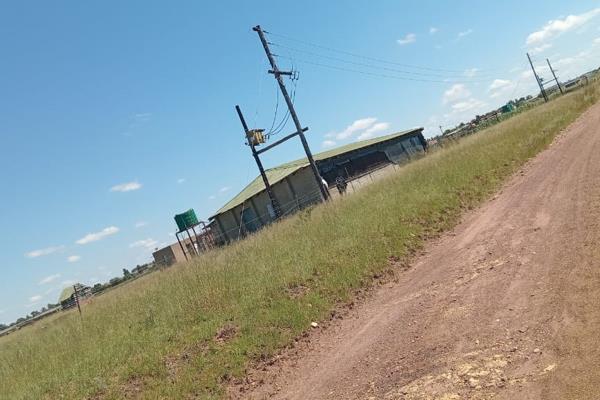 Excellent Opportunity to Own a Small-Scale Poultry Farm Just 30 km from Polokwane City Centre

This versatile 50 m × 50 m farm ...