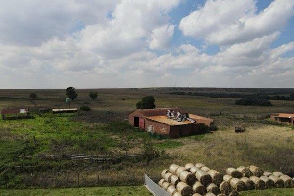 ±280.62 HA (three portions) - natural grazing farm enclosed by 1.2 m cattle ...