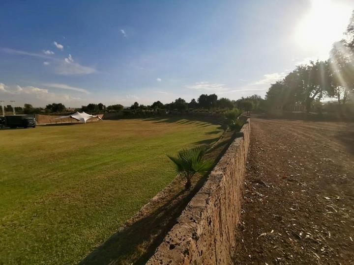 Listing number: P24-117441551, Image number: 2