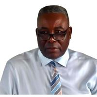 Agent profile for Mike Dzimbili