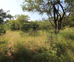 Vacant Land / Plot for sale in Moditlo Wildlife Estate