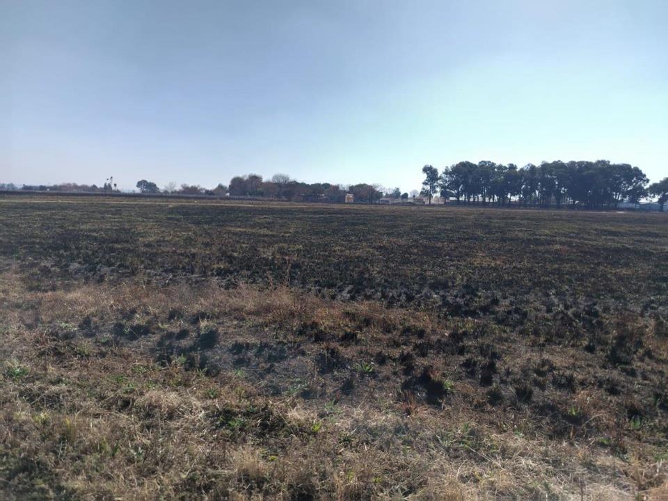 Listing number: P24-117462639, Image number: 1