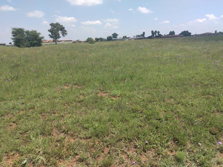 Listing number: P24-117463417, Image number: 2