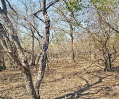 Vacant Land / Plot for sale in Marloth Park