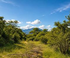 Vacant Land / Plot for sale in Moditlo Wildlife Estate