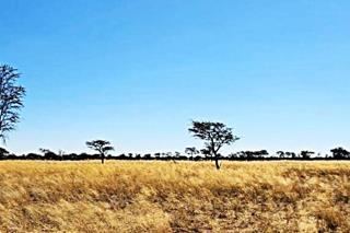 Thumbnail 23