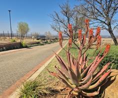 Vacant Land / Plot for sale in Helderzicht Eco Estate