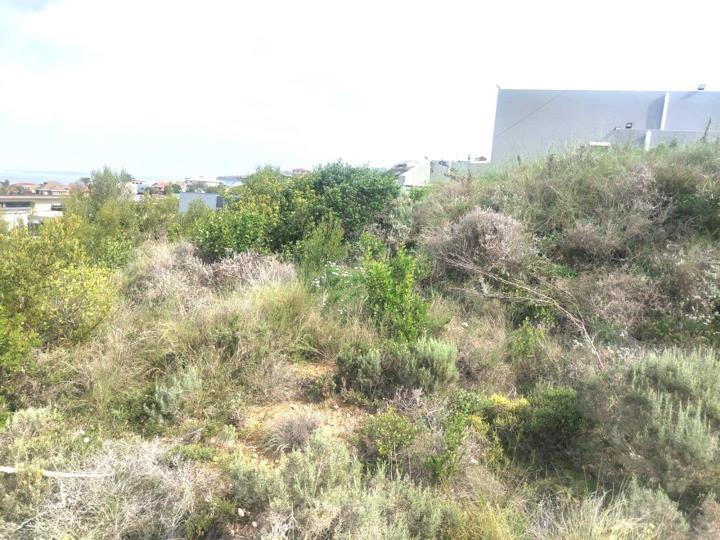 Listing number: P24-117539786, Image number: 3