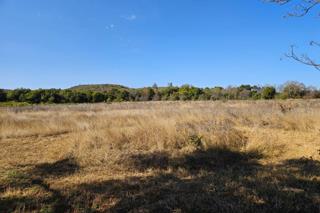 Thumbnail 59