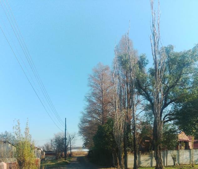 Listing number: P24-117580297, Image number: 2