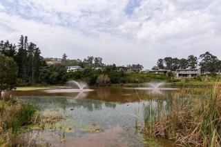 Thumbnail 31
