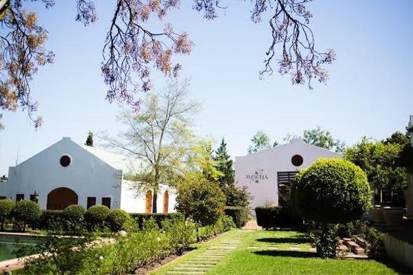 Property Description

Exceptional 28.9674 Hectare Wine Farm in the Heart of the ...