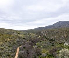 Farm for sale in Willowmore Rural