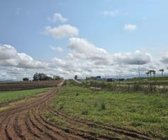 Vacant Land / Plot for sale in Camperdown