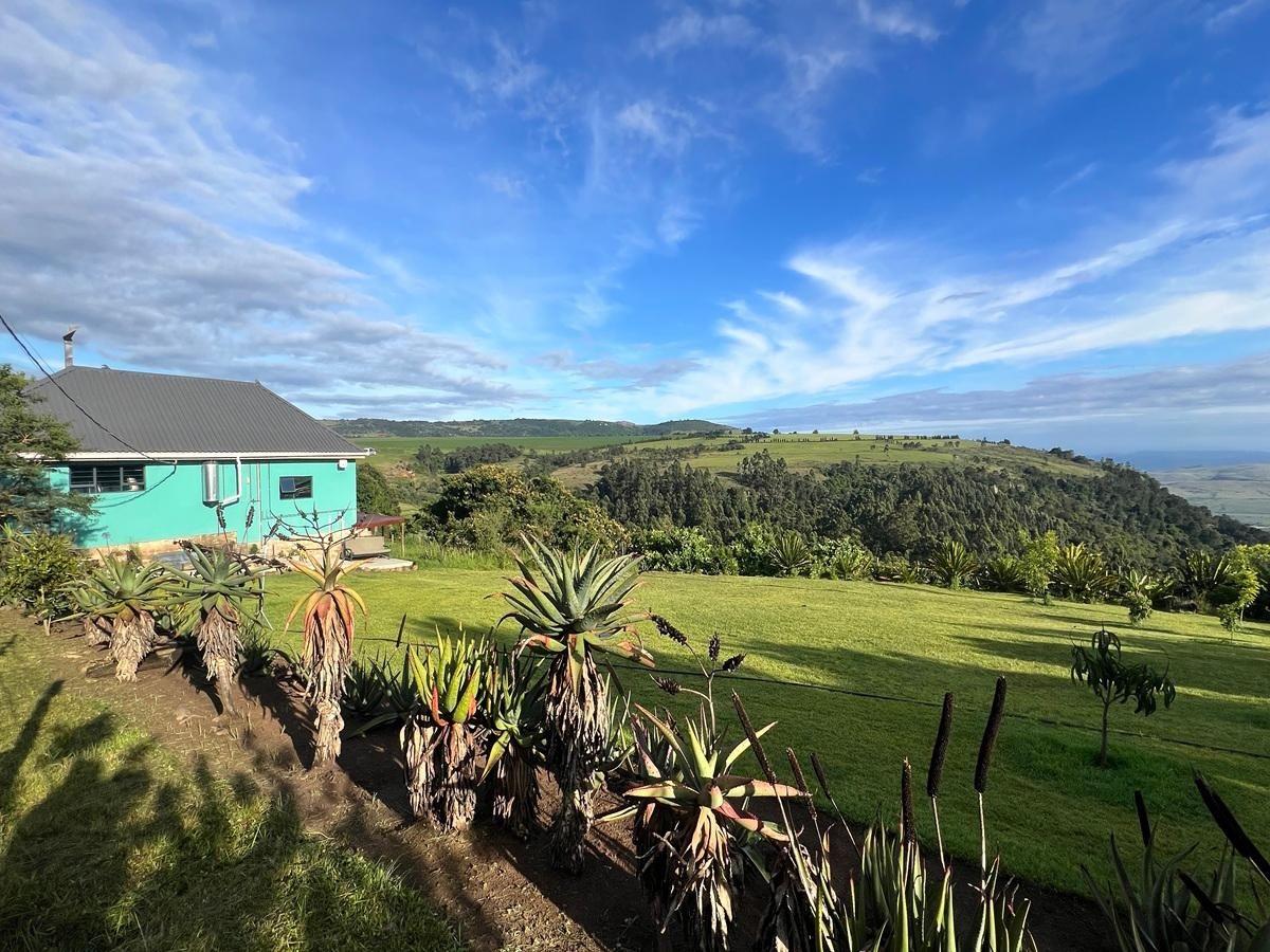 Farm for Sale in Vryheid