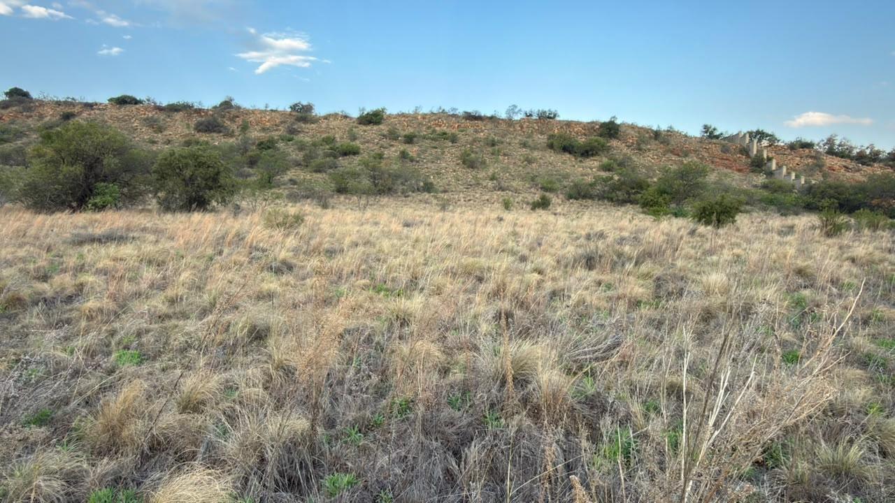 Listing number: P24-117652265, Image number: 1