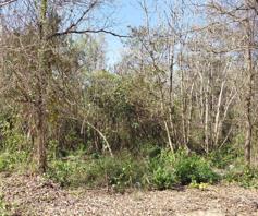 Vacant Land / Plot for sale in Numbipark