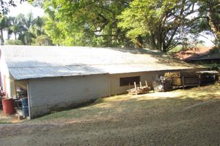 Thumbnail 34