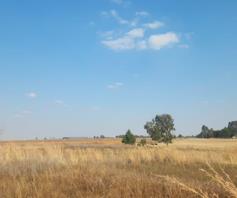 Vacant Land / Plot for sale in Bapsfontein