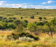 Farm for sale in Potchefstroom Rural