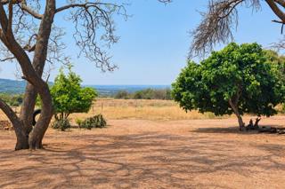 Thumbnail 23