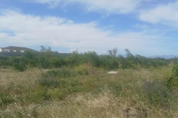 A unique opportunity to acquire a substantial 20-acre property offering privacy, space and immense potential. The property includes a ...