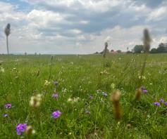 Vacant Land / Plot for sale in Riversdale
