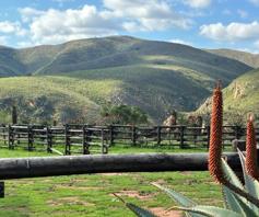 Farm for sale in Joubertina Rural