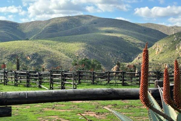 Dual Mandate.

A rare opportunity to acquire an exceptional 1,442-hectare estate in the beautiful Langkloof, Joubertina — a property of ...
