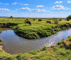 Farm for sale in Heidelberg AH