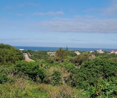 Vacant Land / Plot for sale in Forest Downs