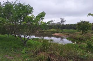 Thumbnail 70