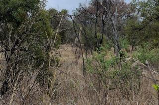 Thumbnail 65